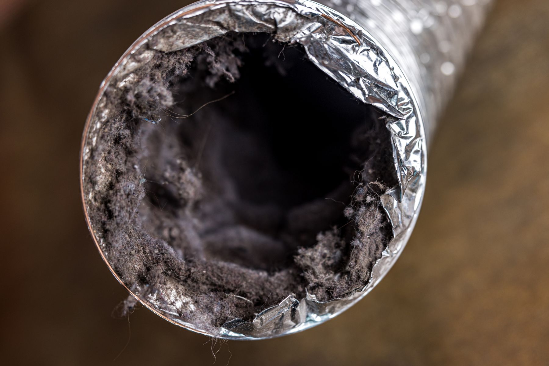 Interior of a home air handler and duct showing buildup on the coil surface